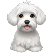 beautiful-Maltese sticker
