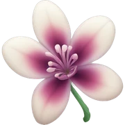 beautiful flower sticker