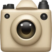 Camera beige sticker