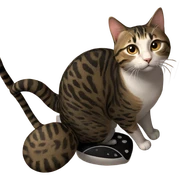 focused feline gaze sticker