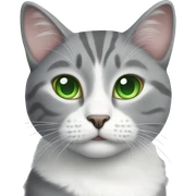 Grey and white cat with green eyes  sticker