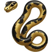 Gold and black snake sticker