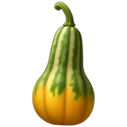 squash sticker