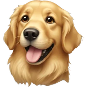 Golden retriever  sticker