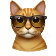 Cat with sunglasses sticker