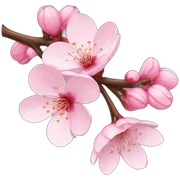 Cherry-blossom sticker
