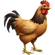 chicken sticker