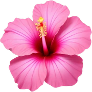 pink hibiscus sticker