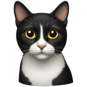 Cat black sticker