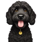 Black goldendoodle  sticker