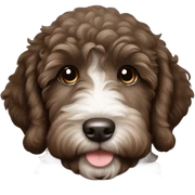 Dark brown and sable labradoodle puppy with white patch on chest sticker