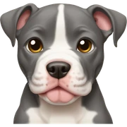 pitbull Puppy sticker