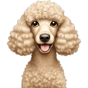 Beige Poodle sticker