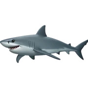 shark sticker