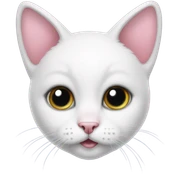 Hello kitty  sticker