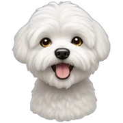 bichon maltes sticker