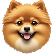 Combination of party emoji and a Pomeranian sticker