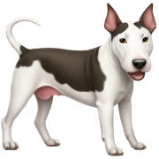 Bull terrier sticker
