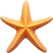 Starfish  sticker