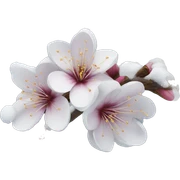 Winter blossom  sticker