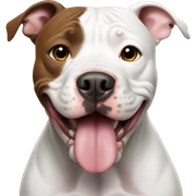 Pitbull  sticker