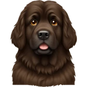 Brown Newfoundland  sticker