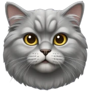 gray persian cat sticker