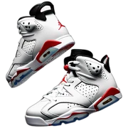 Air jordan 6 white sticker