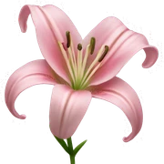 light pink lilium sticker