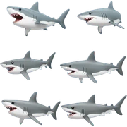 SHARK emotions sticker