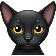  black cat sticker