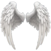 one pair of angel wings sticker