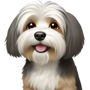 havanese dog sticker
