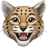 bobcat sticker