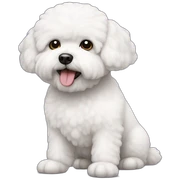 bichon frise sticker