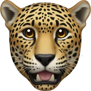 Jaguar sticker