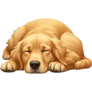 Golden retriever sleeping upright sticker