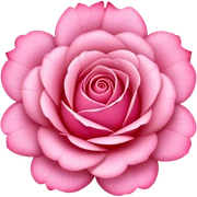 Rose pink sticker