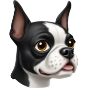Boston terrier dog sticker