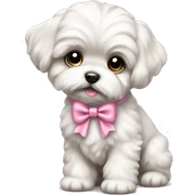 Schichon puppy pink bow sticker