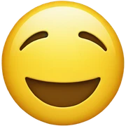 smiley face sentimental  sticker