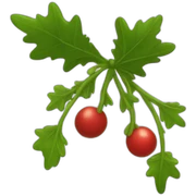 Mistletoe  sticker