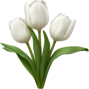white tulips sticker