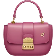 dior bag  sticker