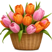 Basket of orange and pink tulips sticker