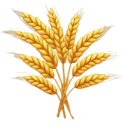 wheat sticker