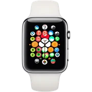 Apple Watch sticker