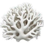 White coral sticker