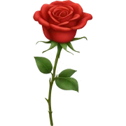 Red rose sticker
