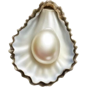 Oyster pearl  sticker